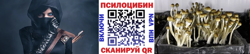 Галлюциногенные грибы мицелий  OMG как зайти  Лукоянов  цена наркотик 